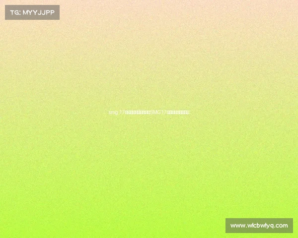 smg 17战队电子竞技俱乐部、SMG17电竞战队的光辉征程