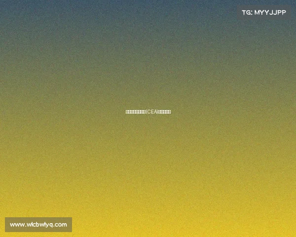 中国电子竞技协会(CEA)暑期实训营